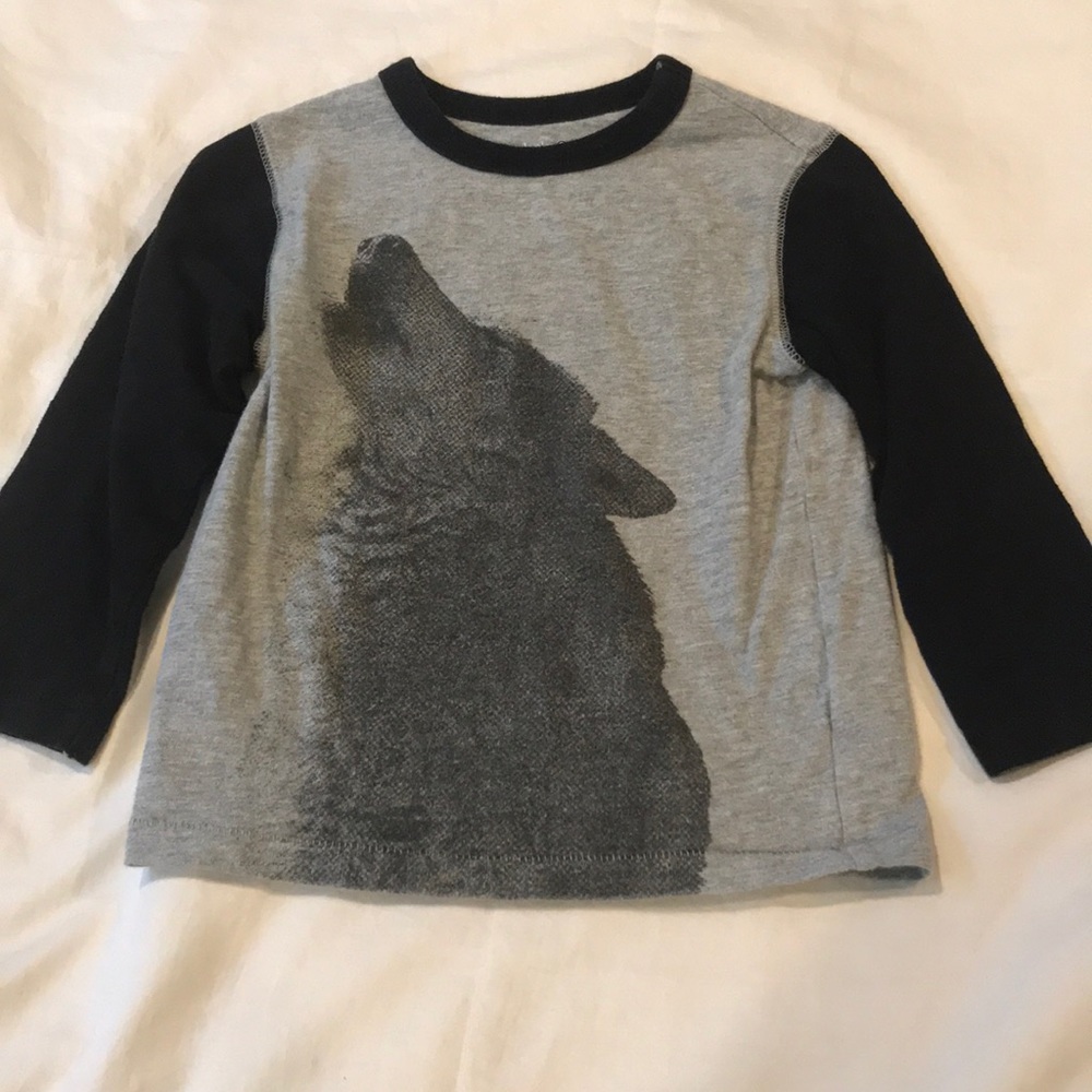 Baby Gap shirt